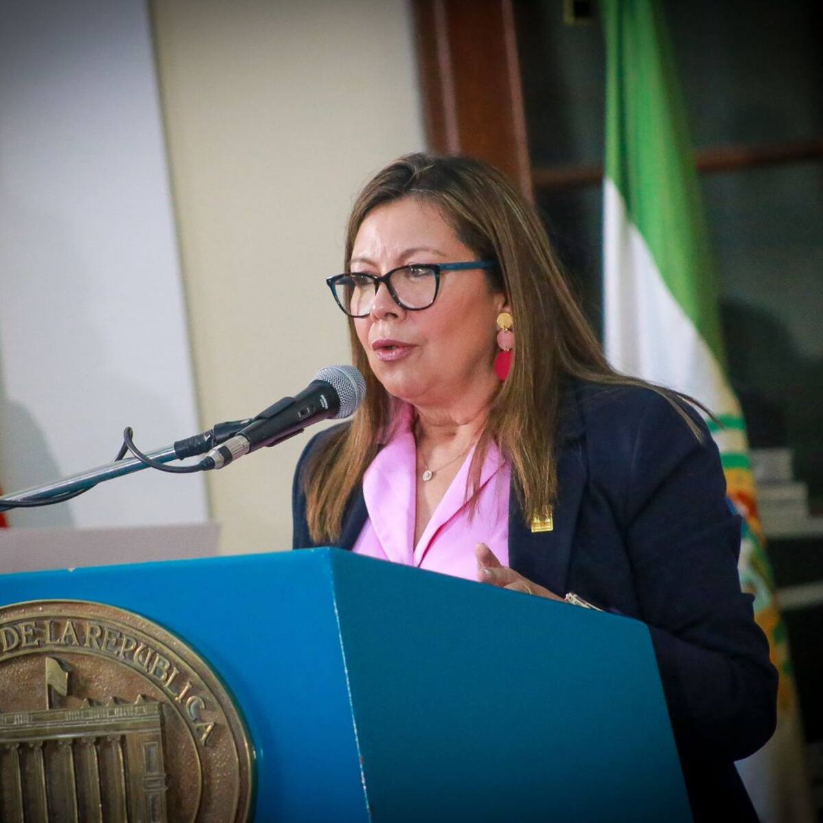 Caso UNGRD: piden a la Corte Suprema decretar pruebas dentro de recusación contra la fiscal