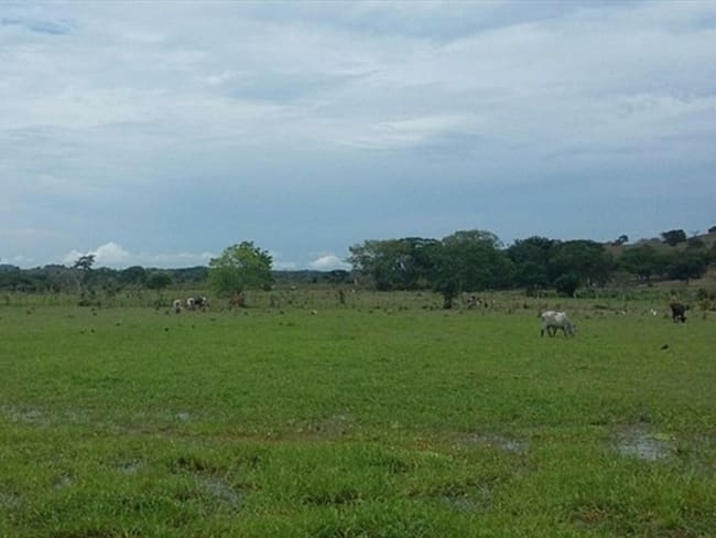 Imagen de referencia sobre terrenos baldíos. Foto: Colprensa