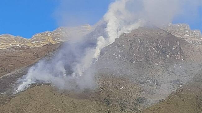 Los frailejones del Almorzadero se han consumido. . Foto:Gobernación de Santander.