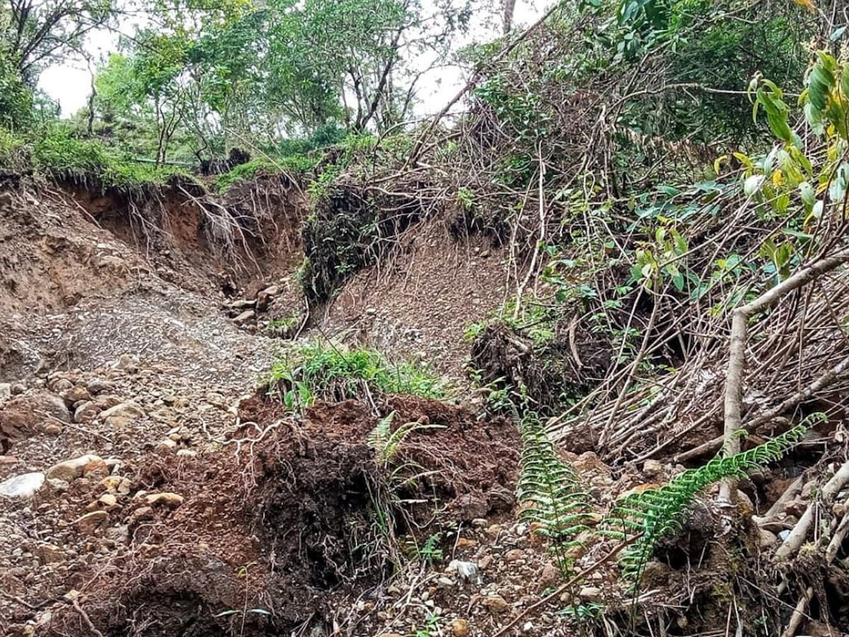Más de 400 familias necesitan ser reubicadas en el municipio de Rosas, Cauca