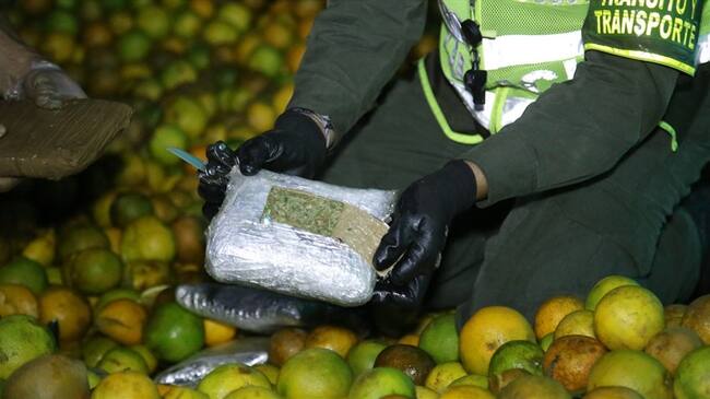 En el operativo fue capturado el conductor del automotor quien ahora será judicializado por el delito de porte y tráfico de estupefacientes. Foto: Policía Nacional