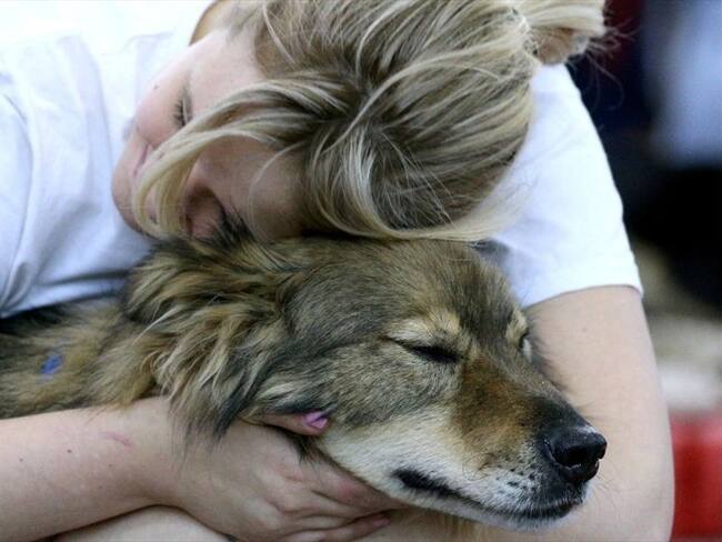 El científico resaltó que los colores son un factor fundamental para entender la manera en que los animales se comunican . Foto: Getty Images