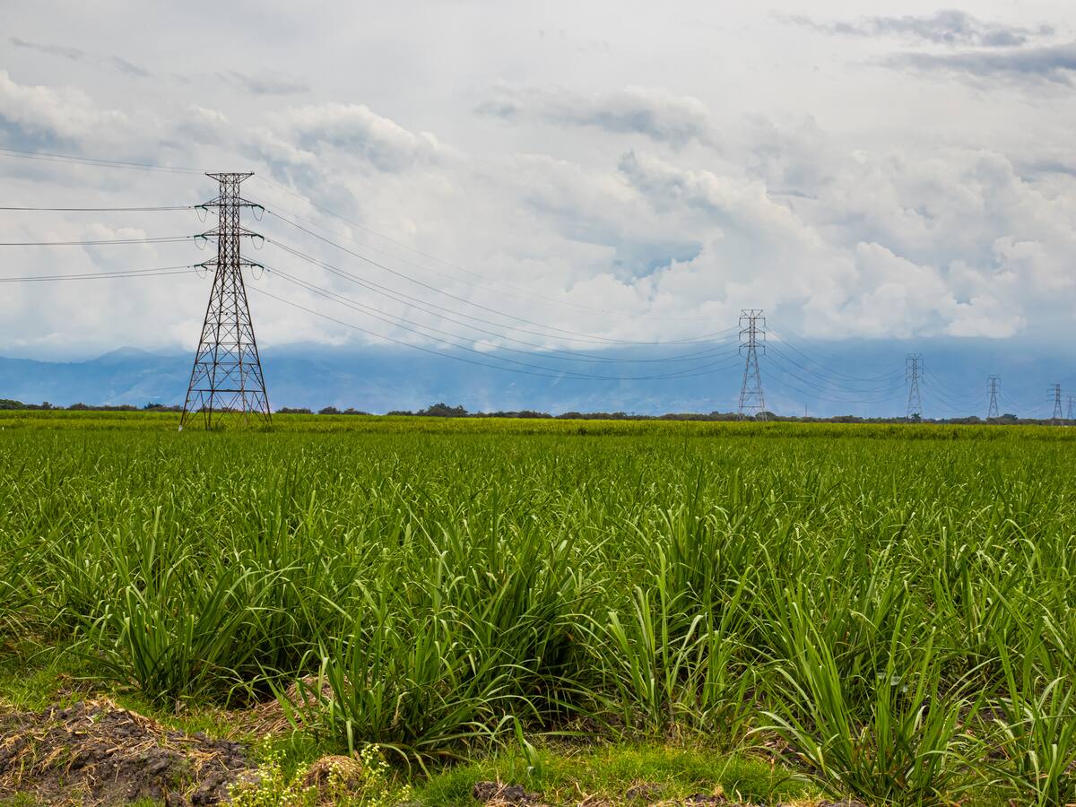Ingenio La Cabaña solicitó acogerse a reorganización empresarial ante SuperSociedades
