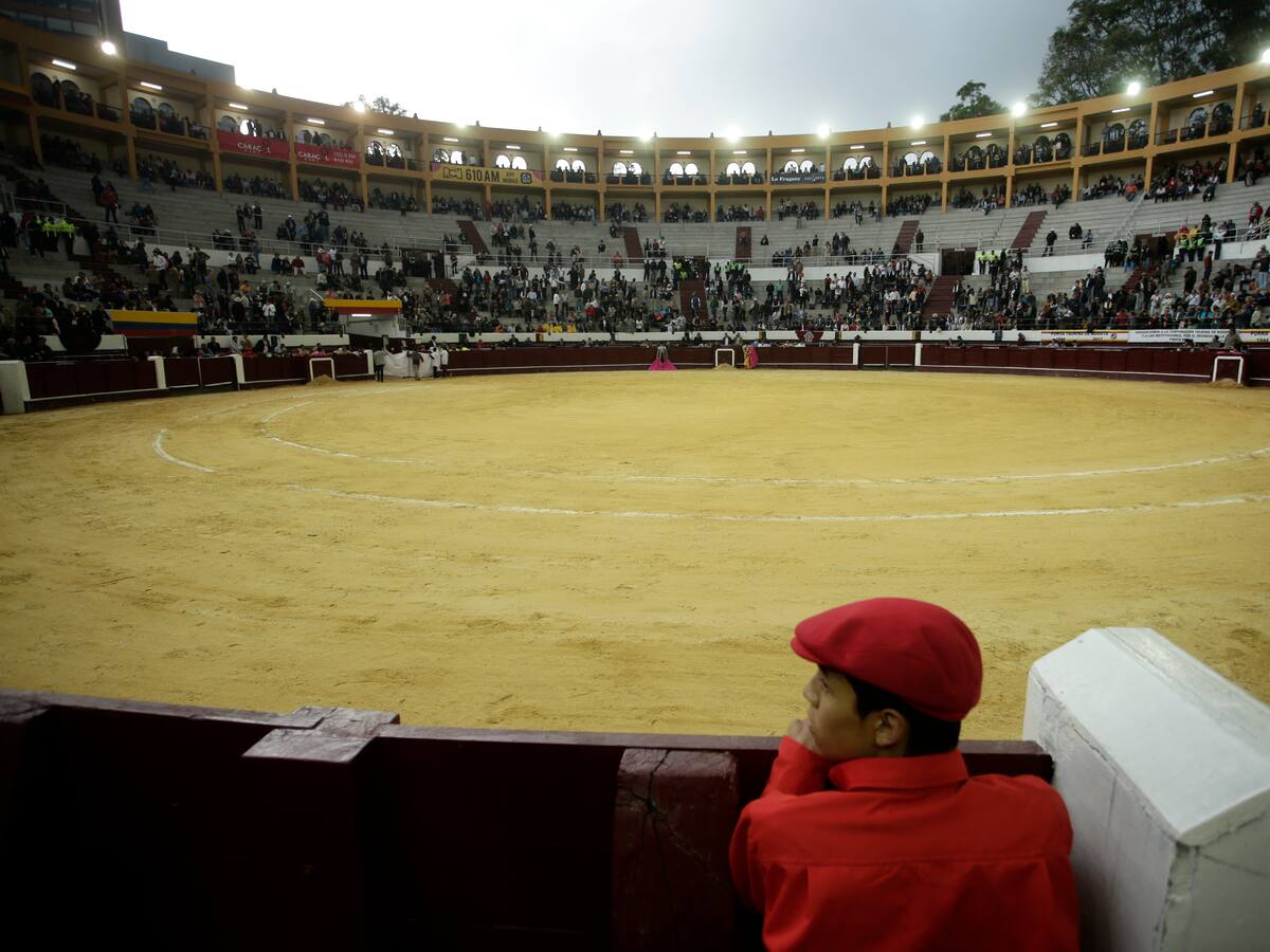Corte ordena el regreso de las corridas de toros en la Plaza Santa María en Bogotá