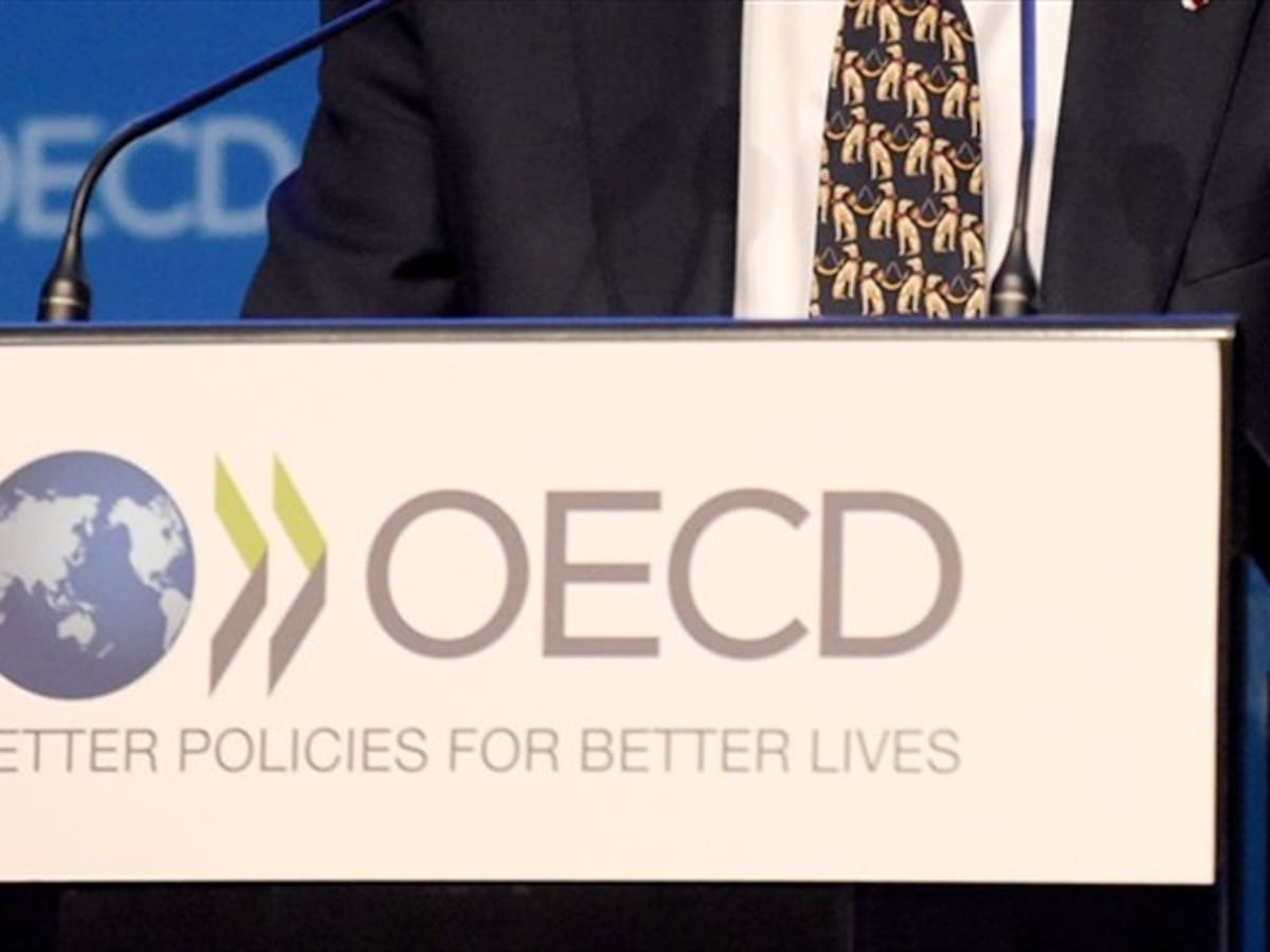OCDE ve en Colombia condiciones para financiamiento e inversión en desarrollo bioenergético