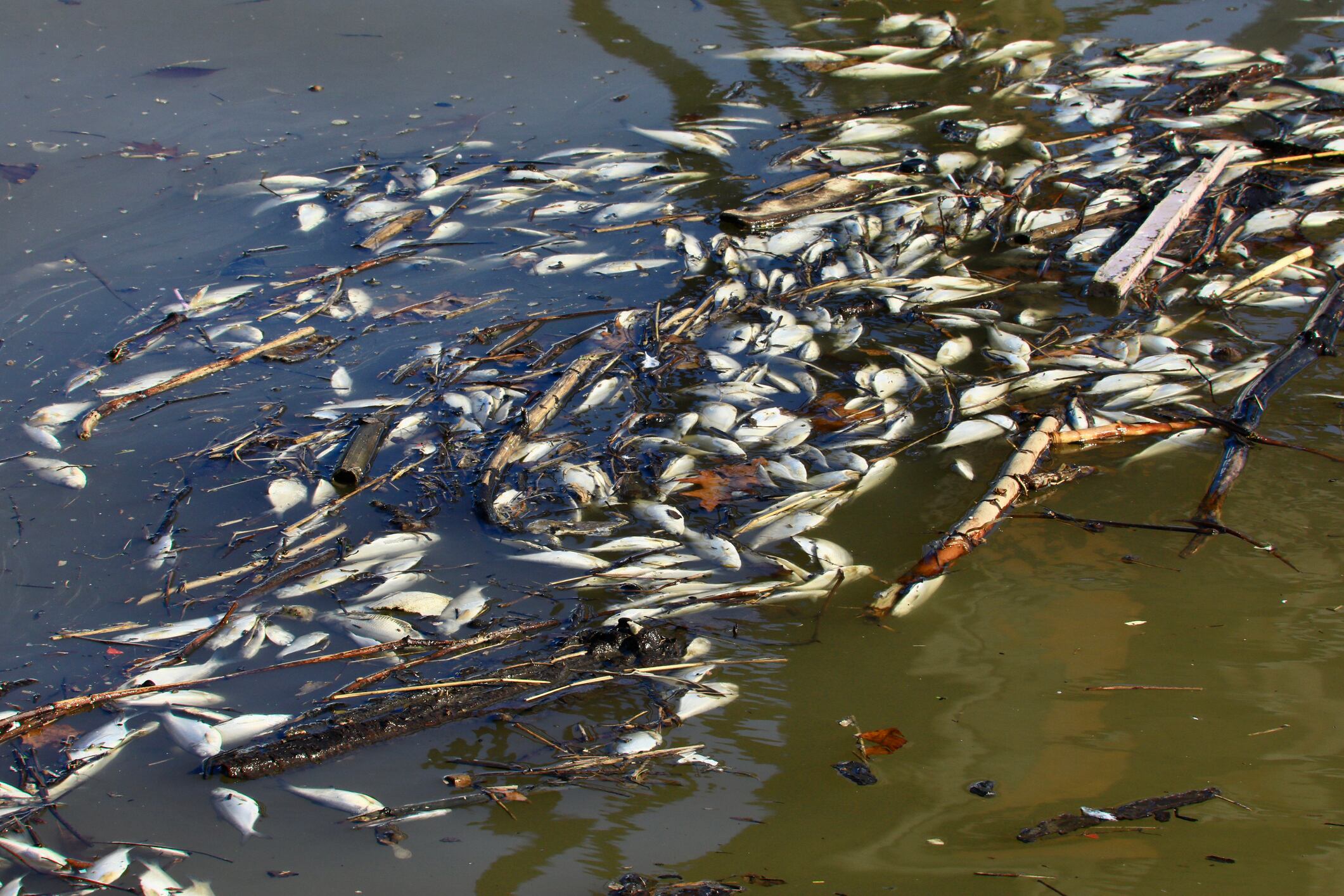 Imagen de referencia. Foto: GettyImages