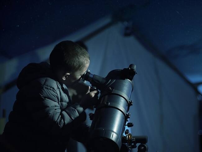 Secretaría de Ambiente ofrece recorridos virtuales por los humedales de Bogotá. Foto: Getty Images
