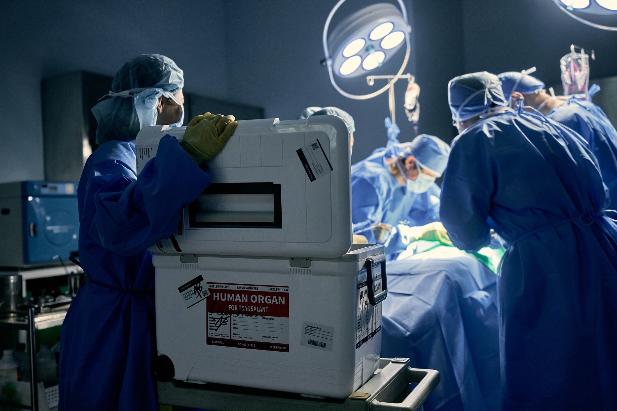 Donación de órganos (Foto: Getty Imágenes)