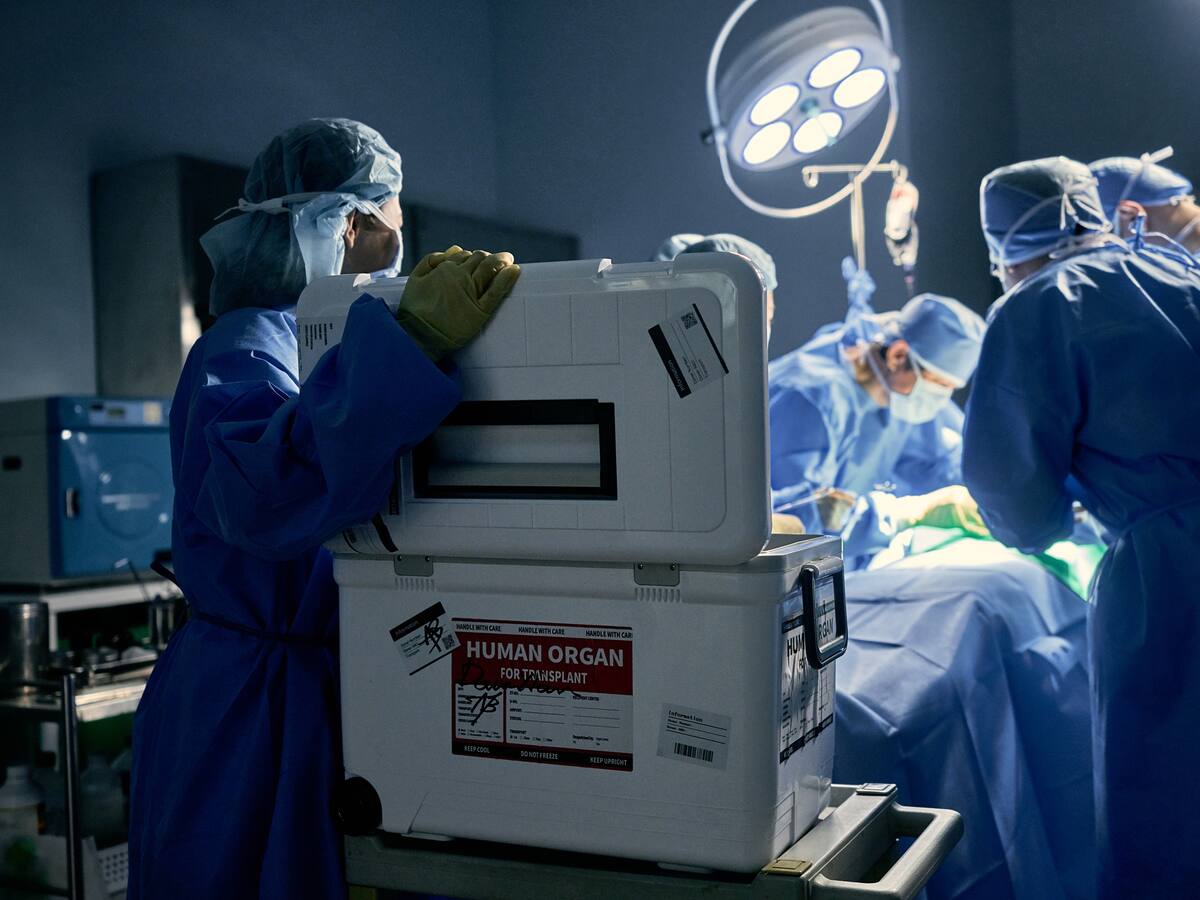 ¿Una persona con enfermedad de transmisión sexual puede ser donante de órganos? Experto responde