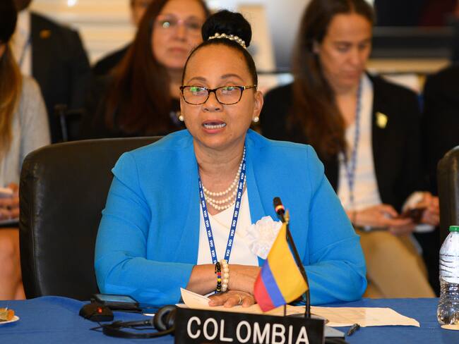 Elizabeth Taylor-Jay. Foto: Juan Manuel Herrera, OEA