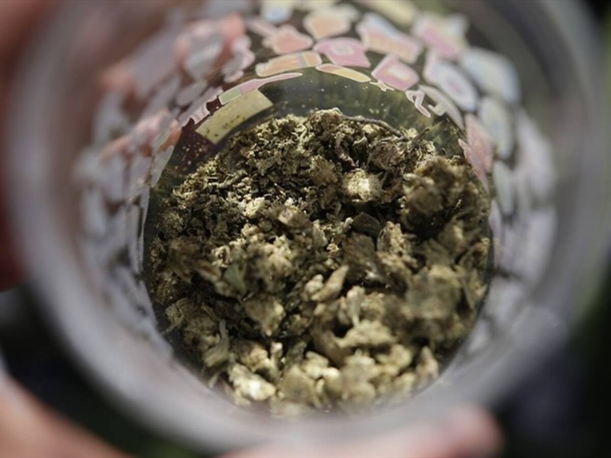 Empate en votación de proyecto que regula el cannabis recreativo