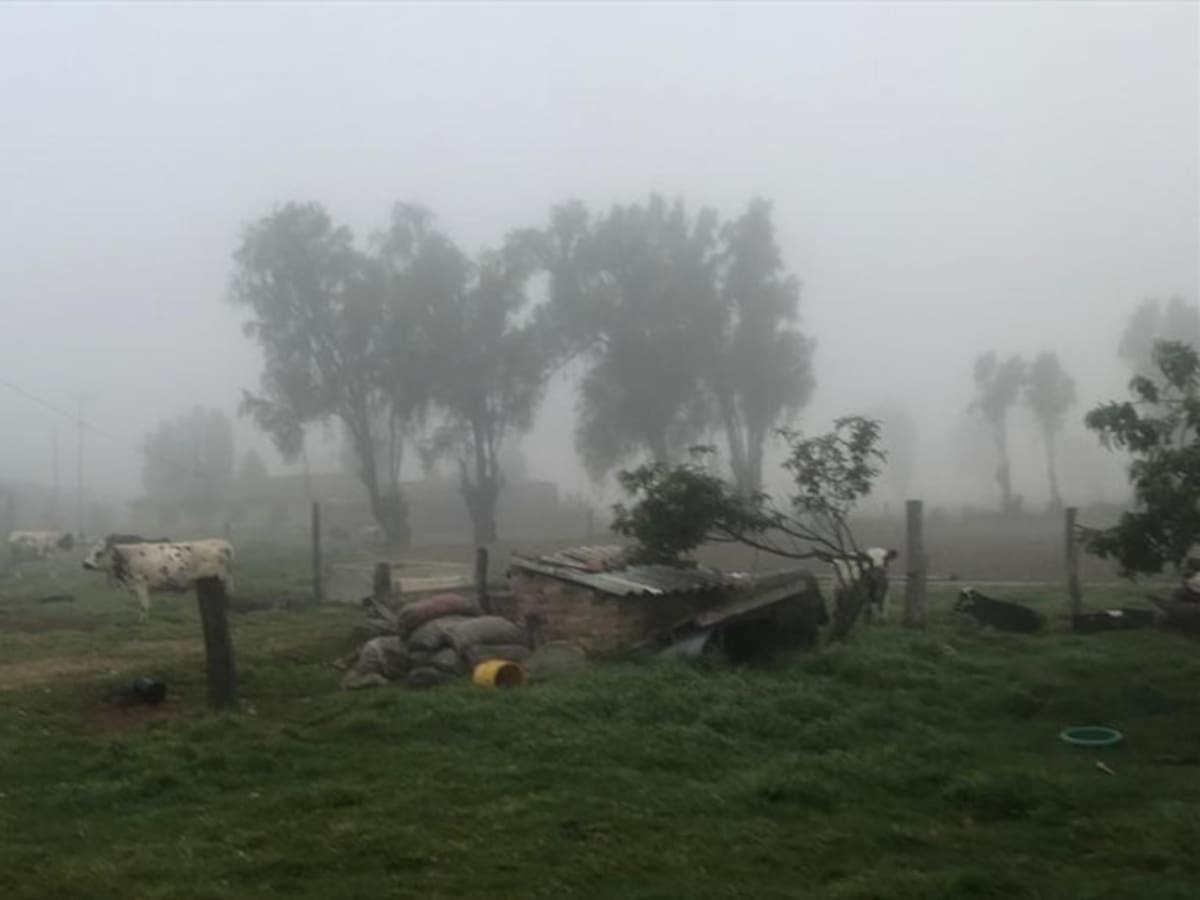 A 200 aumentan familias afectadas por heladas en Motavita, Boyacá