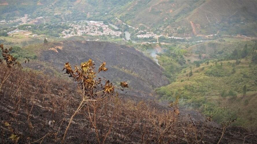 Las autoridades del municipio de Suárez lamentaron la pérdida de ocho hectáreas de bosque en el sector de El Amparo. Foto: Alcaldía de Suárez