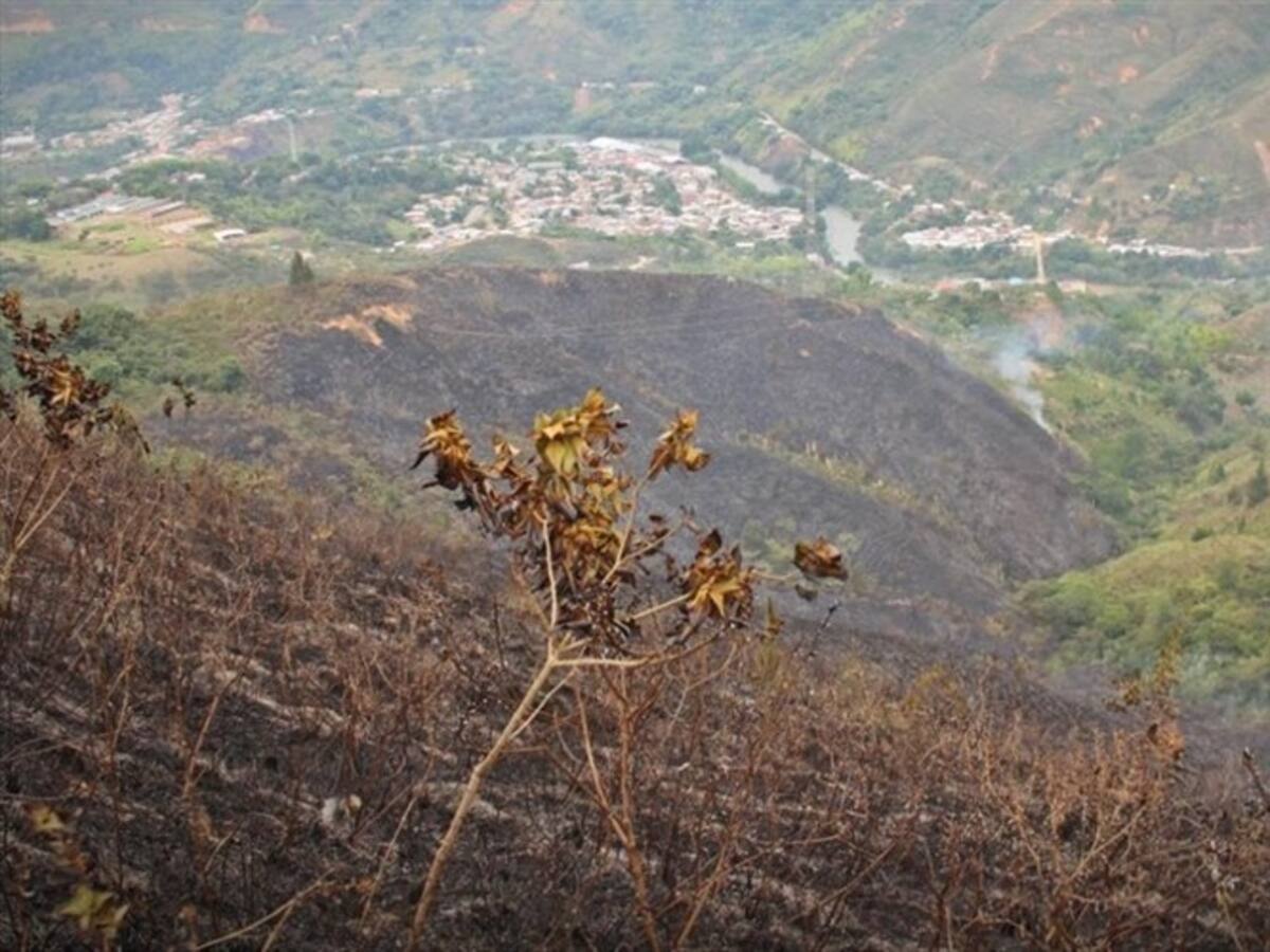 Incendio consumió ocho hectáreas de reserva natural en Suárez, Cauca