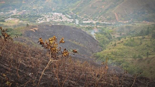 Las autoridades del municipio de Suárez lamentaron la pérdida de ocho hectáreas de bosque en el sector de El Amparo. Foto: Alcaldía de Suárez