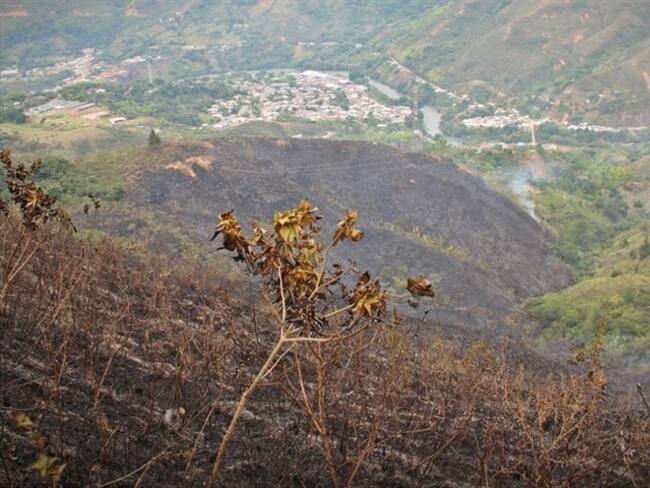 Las autoridades del municipio de Suárez lamentaron la pérdida de ocho hectáreas de bosque en el sector de El Amparo. Foto: Alcaldía de Suárez