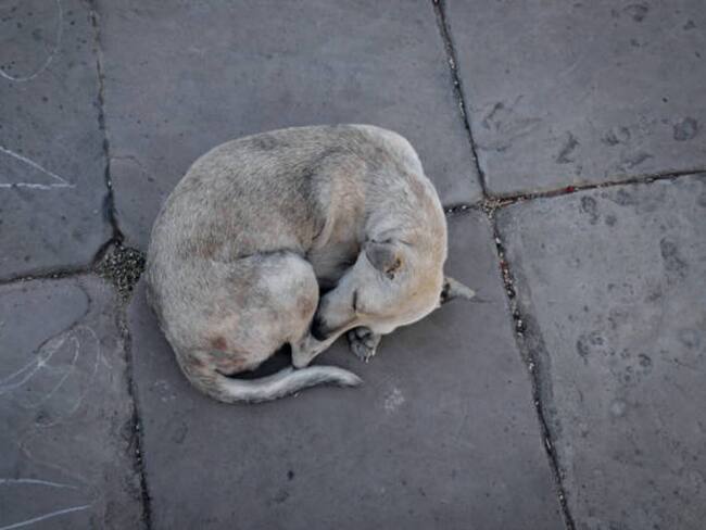 Imagen de referencia/ Getty Images