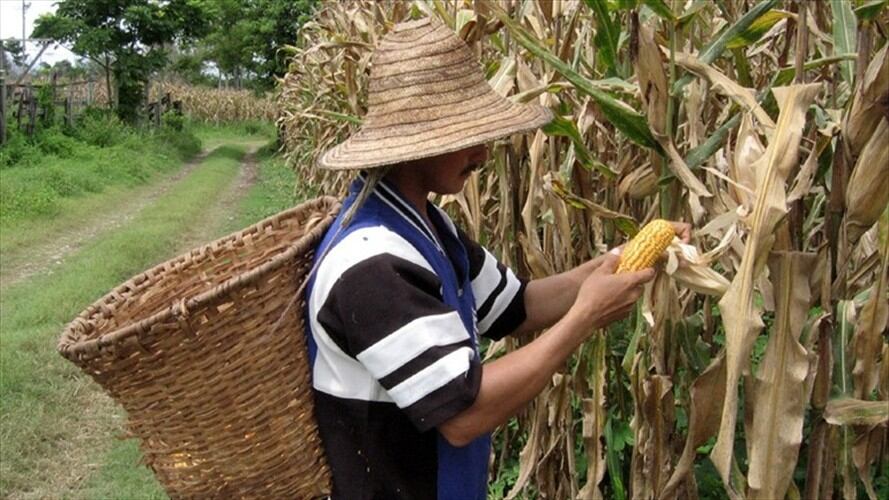 Los municipios con más daños San José de Pare, Chitaraque, y Puerto Boyacá.