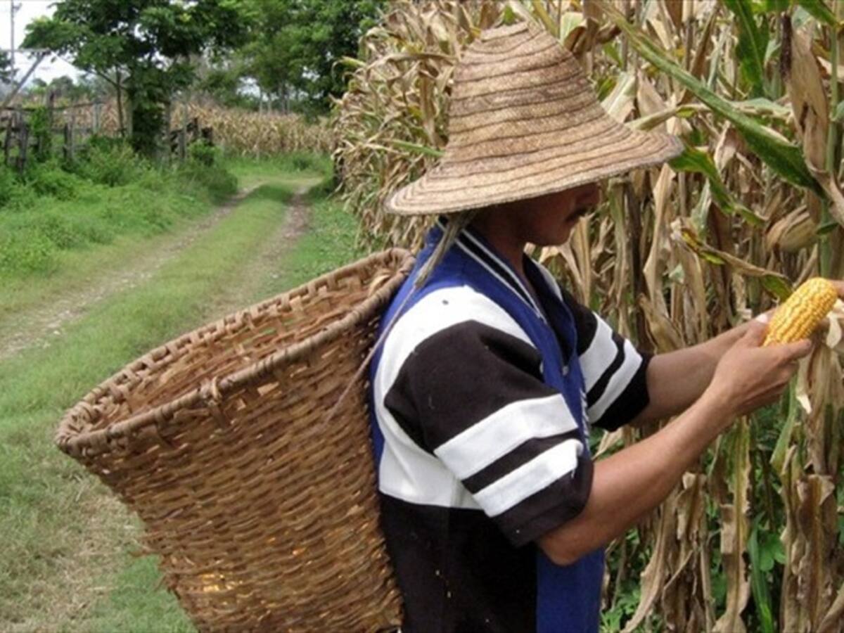 Invierno deja 235 familias campesinas afectadas en Boyacá