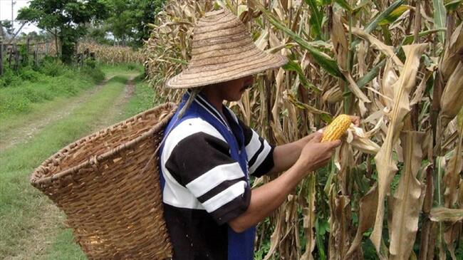 Los municipios con más daños San José de Pare, Chitaraque, y Puerto Boyacá.