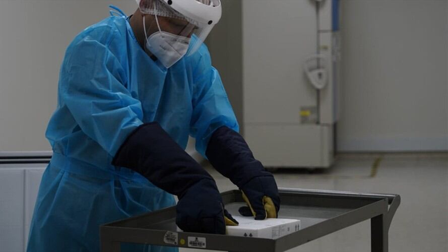 Bogotá ya tiene sus primeras vacunas contra la COVID-19. Foto: Alcaldía de Bogotá