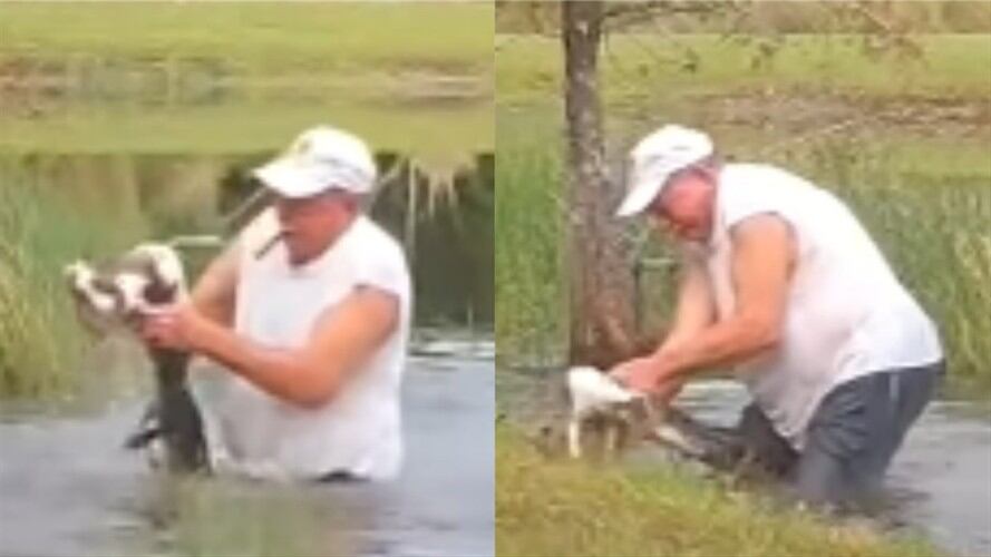 Hombre luchó contra un lagarto que intentó comerse a su perro de 3 meses. Foto: Redes sociales