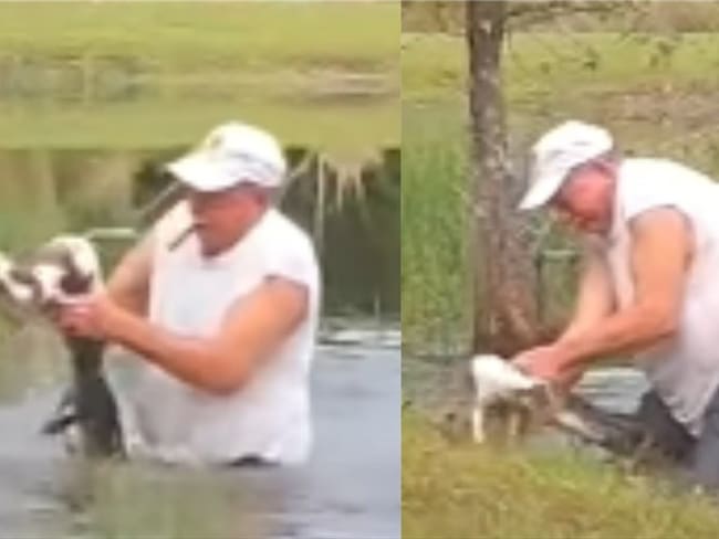 Hombre luchó contra un lagarto que intentó comerse a su perro de 3 meses. Foto: Redes sociales