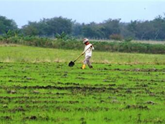 Foto: Ministerior de Agricultura.