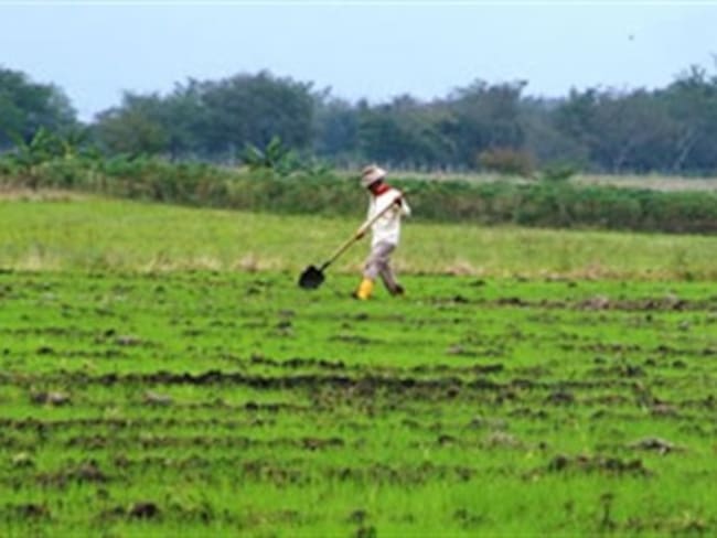 Foto: Ministerior de Agricultura.