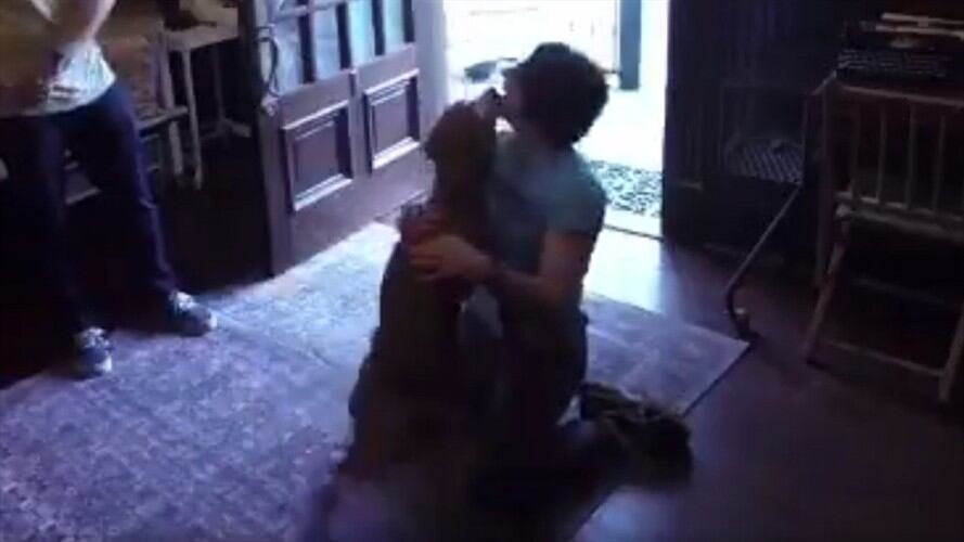 [Video] El emotivo reencuentro de una astronauta con su mascota que no veía hace un año. Foto: Captura de video