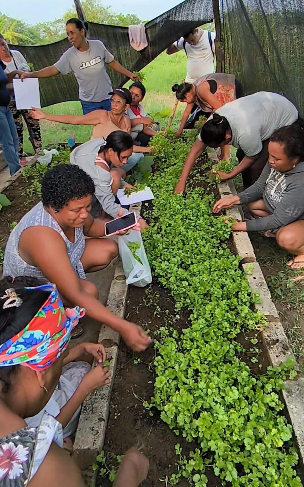 Huertas Caseras/ Cortesía 