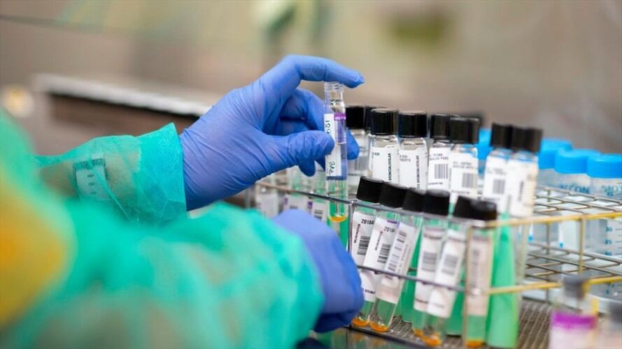 Massimo Clementi reveló los resultados de su último estudio y aseguró que es como si el virus "hubiera envejecido".. Foto: Getty Images