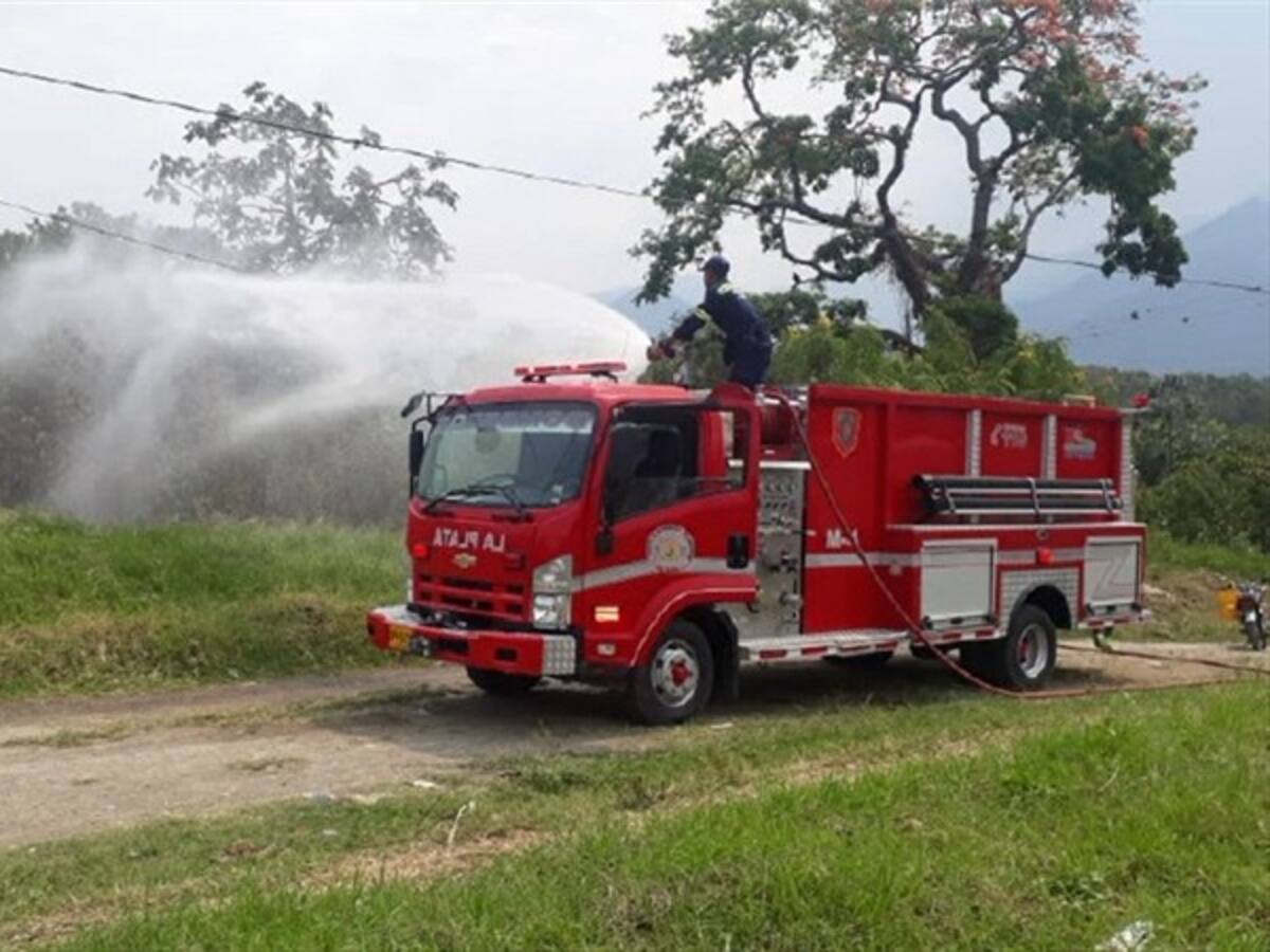 ¿Qué podemos hacer en caso de incendios forestales?