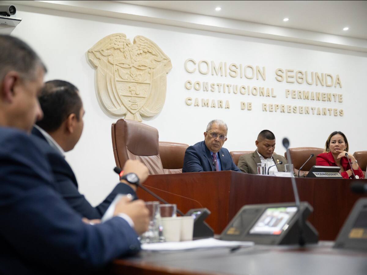 La justificación del canciller (e) para no asistir al debate de pasaportes en el Congreso