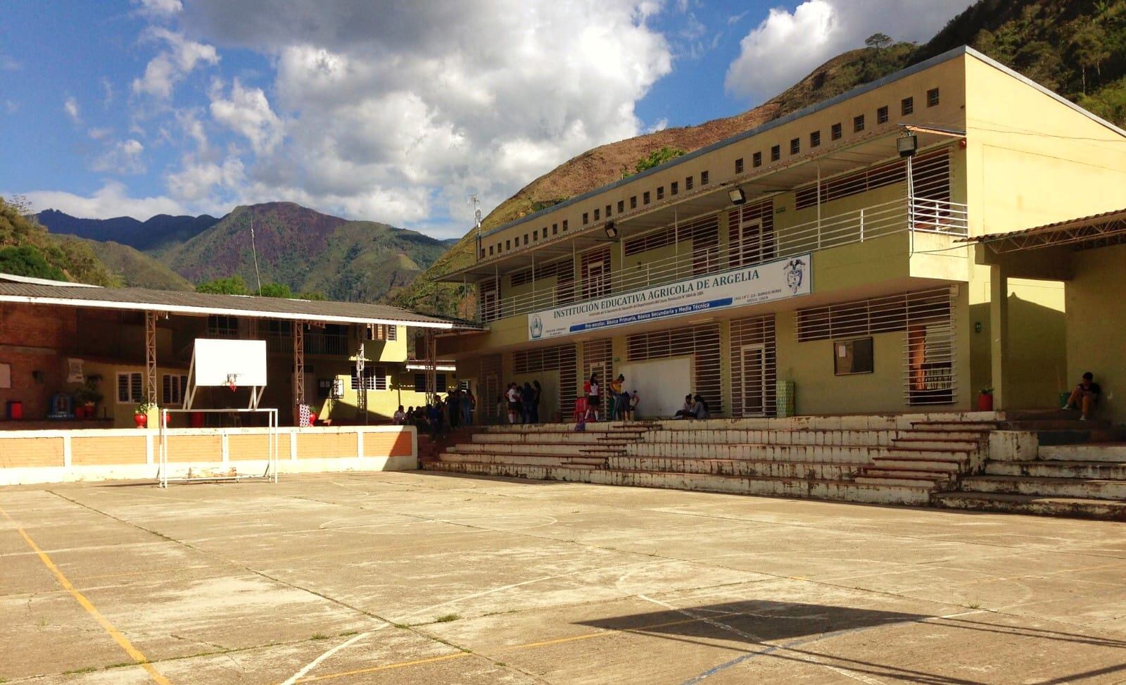 Imagen de referencia. Crédito: Institución Educativa Agrícola de Argelia, Cauca.