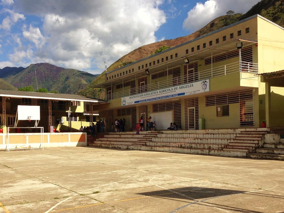 Más de dos mil estudiantes afectados por los combates en Argelia, Cauca