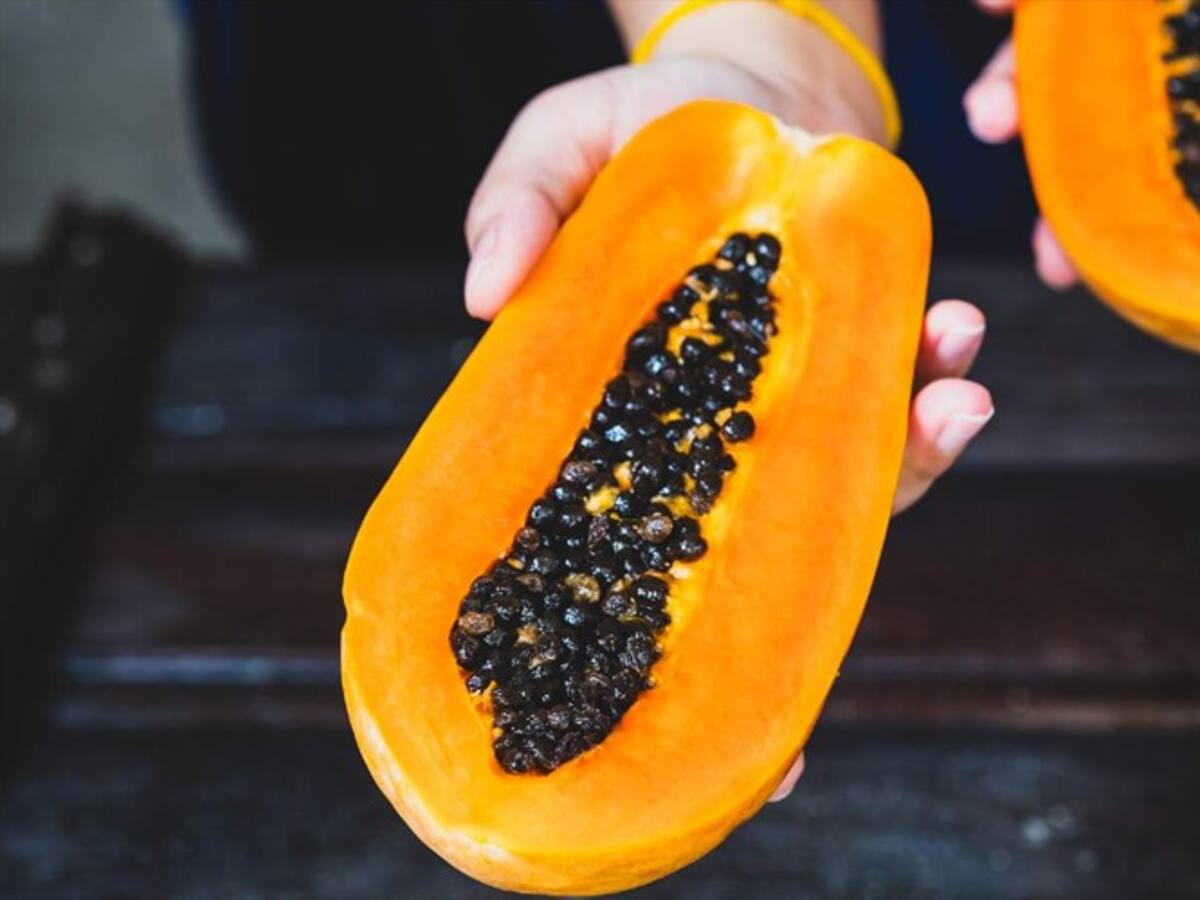 'Papayatón', iniciativa para vender 50 toneladas de papaya de los Montes de María