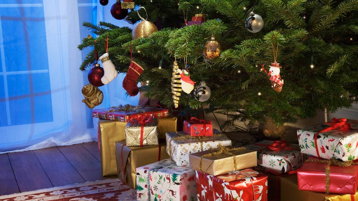Novena de aguinaldos: Estas son las oraciones de este 24 de diciembre