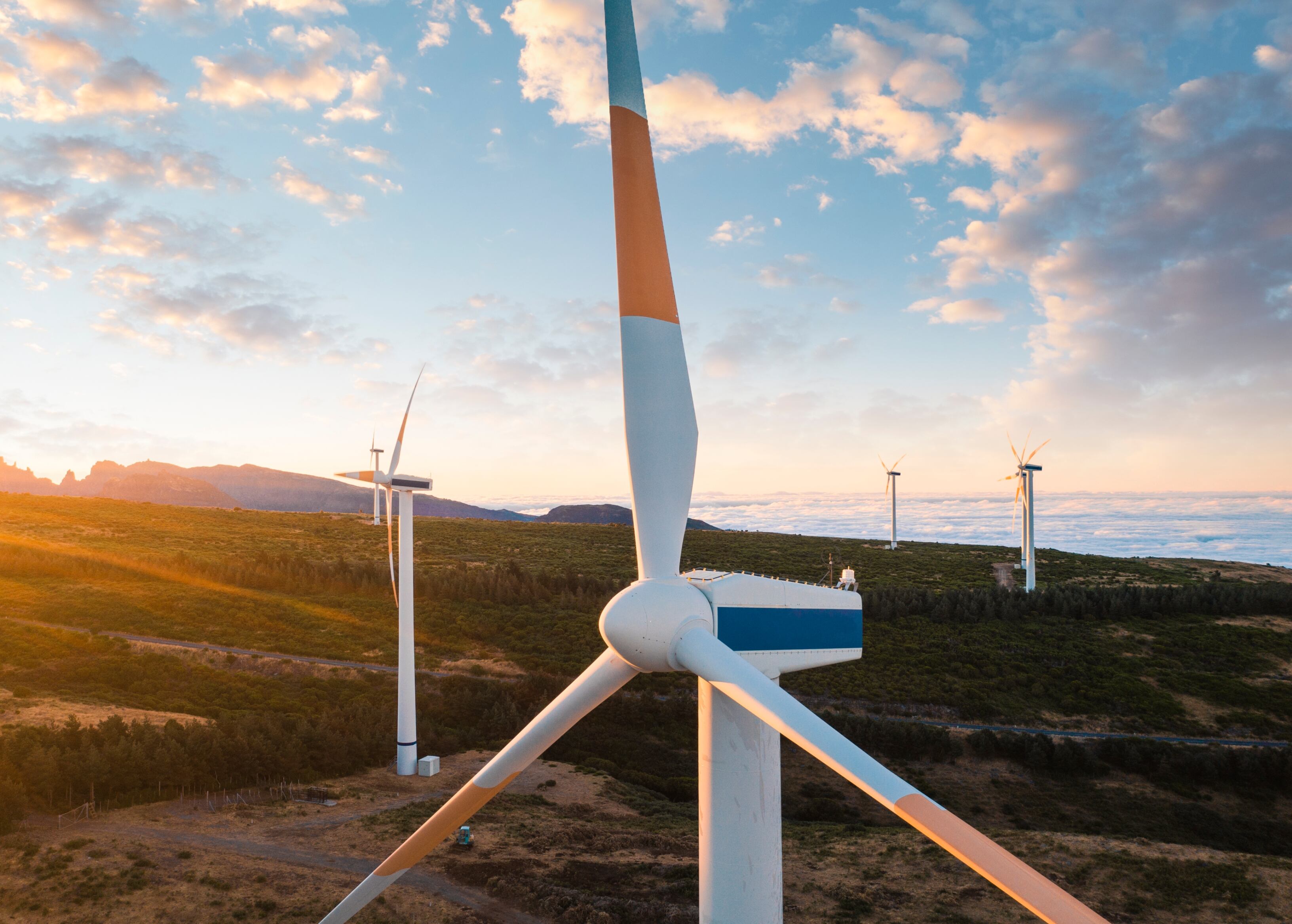 Energía eólica, imagen de referencia | Foto: GettyImages