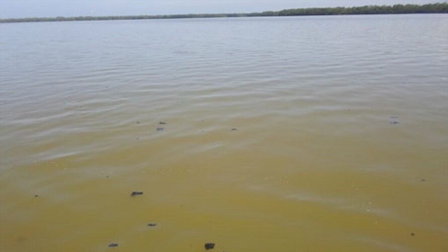 La empresa Drummond había sido sancionada en 2013 por vertir carbón al mar.. Foto: Colprensa