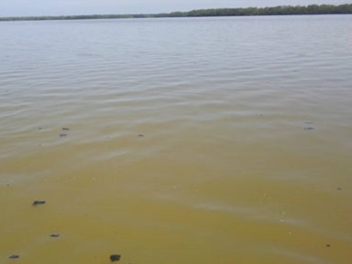 Después de tres años acuerdan cumplir sanción de la Anla a multinacional en Ciénaga