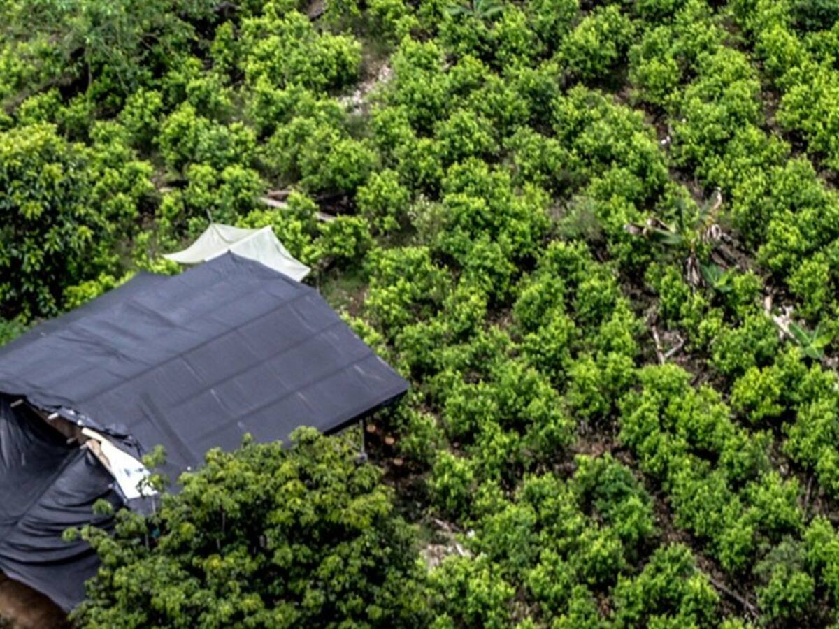 Si la paz fracasa en Tumaco, habrá fracasado en todo el país: gobernador de Nariño