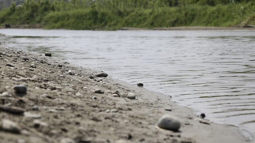 Se autorizó la declaratoria de calamidad pública ante el balance crítico por desabastecimiento de agua, como la muerte de animales, pérdida de cultivos e incendios forestales. Foto: Colprensa