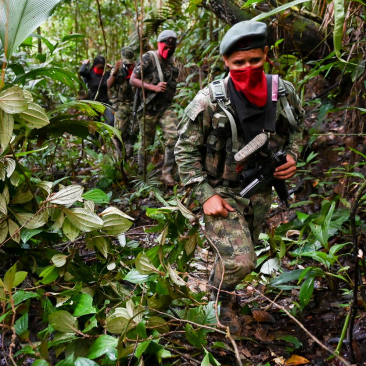Denuncian confinamientos y cerca de 20 muertos por combates en Istmina