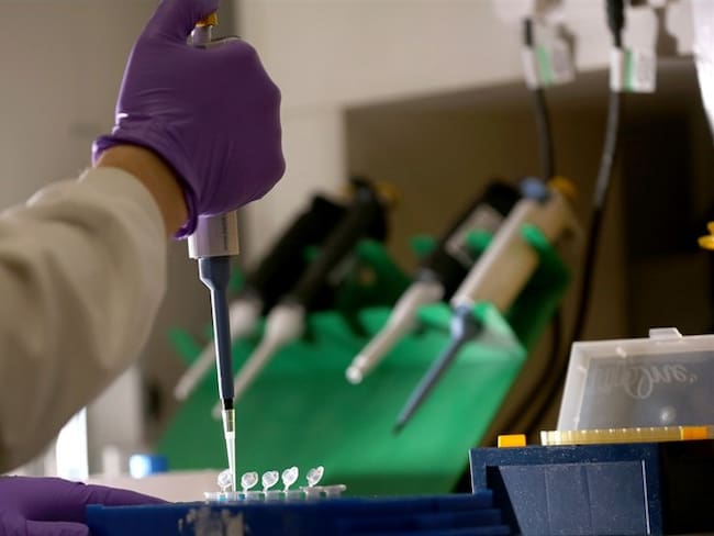 Los medicamentos biotecnológicos, tienen como base materia biológica y no química/ Imagen de referencia. Foto: Getty Images