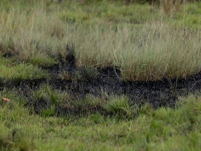 La Anla investigará la emergencia ambiental en el Parque Natural Serranía Las Quinchas por derrame de crudo. Foto: Colprensa