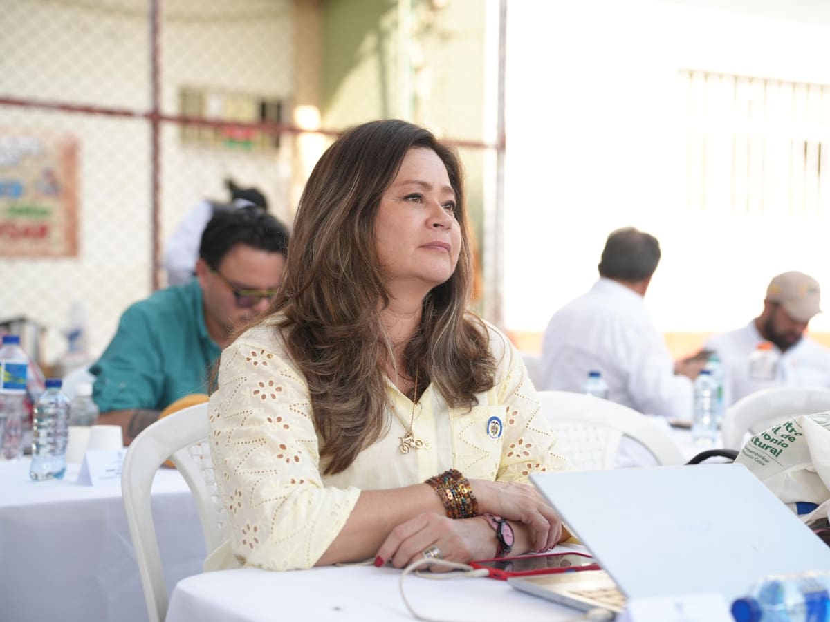 Por el paro arrocero, MinTransporte pidió a aerolíneas que mantengan tarifas solidarias