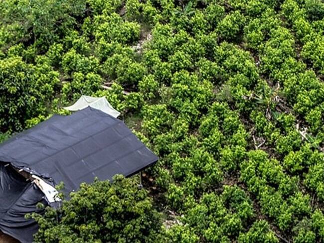 El proceso tiene que seguir avanzando, la paz no se va a detener: Eduardo Díaz. Foto: Colprensa