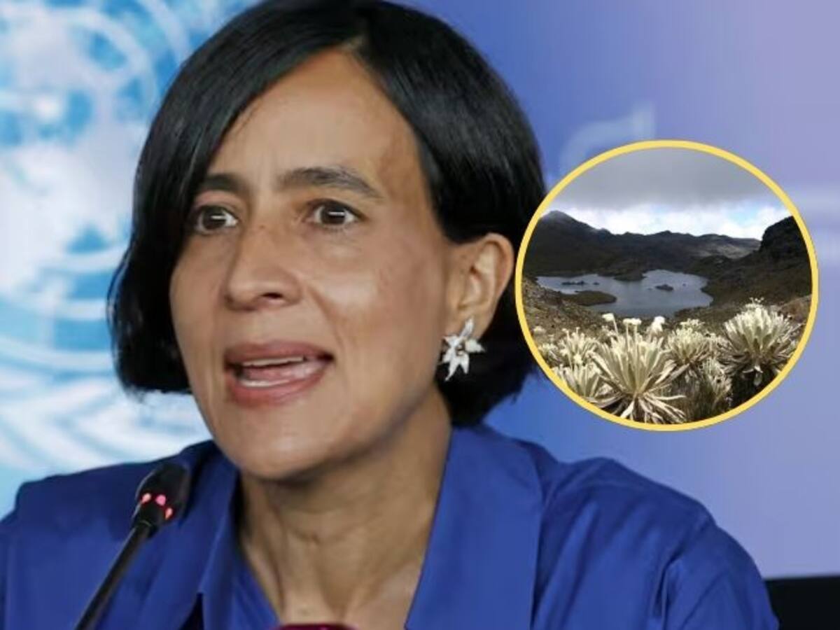 Tribunal Administrativo de Santander abrió desacato a MinAmbiente por no delimitación de Santurbán