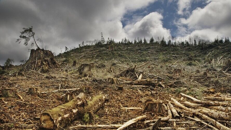 Diana Jembuel, secretaria General de Akubadaura, manifestó en Sigue La W que los Nukak Makú están haciendo un llamado para que se cumpla la protección de su territorio.  . Foto: Getty Images